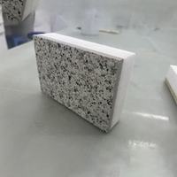 Coffrage permanent Panneau isolant Eps Xps Moulage de mousse de ciment Panneaux sandwich pour murs extérieurs en béton