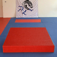 Tapis de judo en vinyle antidérapant, souple, imperméable, compressible, léger, 4 cm de hauteur, haute résilience, tapis de sport professionnels