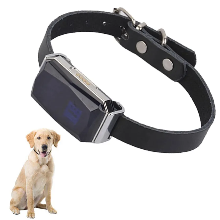 Meilleur traceur pour animaux de compagnie GP06, étanche 2G GSM GPRS WIFI para perros contracteur localisateur à distance sans fil collier de chien suivi gps pour animaux de compagnie