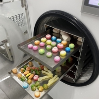 IOT en ligne télécommande lyophilisateur coton gommeux quilles bonbons bonbons lyophilisateur SJ-06H lyophilisateur équipement de séchage