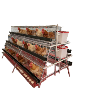 Jaulas de batería para gallinas ponedoras, equipos para granjas avícolas y cría de <span class=keywords><strong>huevos</strong></span> - Product Image 3