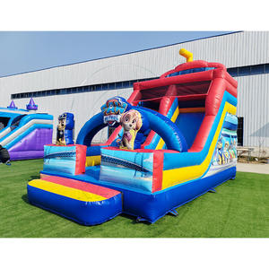 Château Gonflable Combo de Dessins Animés avec Toboggan Humide/Sec pour Parc d'Attractions - Product Image 5