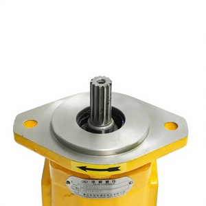 Pompe à engrenages double HUAMAO CBGJ1025/1025, pompe à engrenages hydraulique 1032/1032 pour machines de construction - Product Image 5