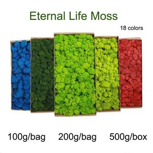 Vente en gros de mousse de Lichen et de renne stabilisée de haute qualité pour la décoration des murs de fleurs mousse naturelle préservée - Product Image 2