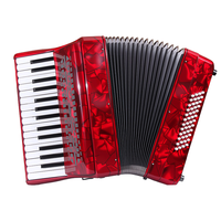 Professional Diatonic Accordion for Adult Grading and Performance Beginner Keyboard Instrument 30 Key 48 Bass ABS Matte Finish