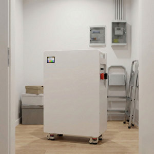 Sistema de Almacenamiento de Energía Doméstico Todo en Uno, Batería de 16 kWh, 51.2V 314Ah, de Pie, para Híbrido Solar NEHC0017 - Product Image 1