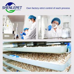 Bileşik dondurularak kurutulmuş koleksiyon köpek aperatifler Molar dondurularak kurutulmuş keçi süt sopa çim sebze yüksek protein çevre dostu - Product Image 4