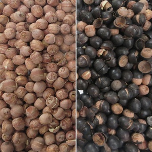 Wesort ai công nghệ chuyên nghiệp hạt giống sen màu SORTER trang trại máy để phân loại hạt giống hoa sen hỗn hợp Việt Nam - Product Image 4