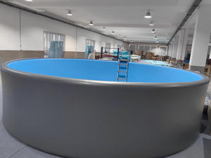 Piscina Gonfiabile per Bambini di Grandi Dimensioni, Portatile, in PVC, per Divertimento Acquatico Familiare, Materiale Drop Stitch - Product Image 1