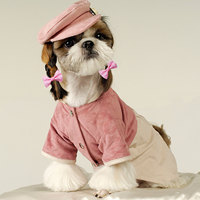 Mignon Polyester Polka Dot Bow Accessoire pour Chiens Chats Saisonnier Cheveux Accessoire Collier Imprimer Animal pour Hiver Printemps Été