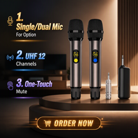 Système de microphone sans fil UHF portable, microphone simple/double en métal, batterie rechargeable 18650, 12 canaux pour karaoké, haut-parleur PA