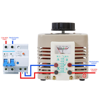 TDGC2-500W Transformateur Variac Variable Entrée Variac Motorisé Sortie 220V Compteur analogique 0-250V ou 0-300V pour les tests de laboratoire