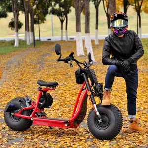 Scooter elétrico de 2 rodas com equilíbrio inteligente pneu gordo Coco City 20km/h 25km/h EEC COC