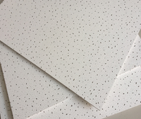 Plaques de plafond en laine minérale acoustique 60x120 pour hôpital, design moderne, décoration intérieure