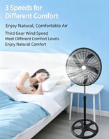 Ventilateur sur pied puissant Star One de 18 pouces avec 5 pales, 220V/110V, pour l'Amérique du Sud