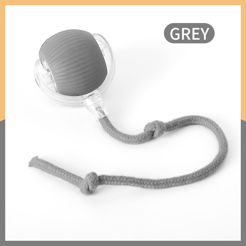 Standard Version Grey