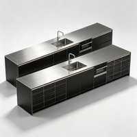 Meuble de cuisine modulaire en acier inoxydable 304 noir laqué mat sans poignée avec évier intégré, éclairage LED et four encastré linéaire