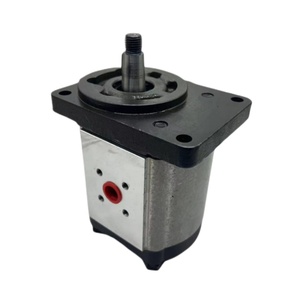Moteur à engrenages hydraulique externe Lainuo Série PHM PHM10.12D0-82E1-LBD/BC-N PHM20.25S0-83E2-LGF/GF-N PHM20.40R0-84E2-LED/EC-N - Product Image 2