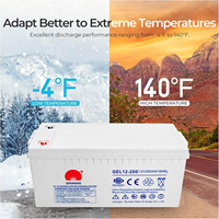 Batería AGM VRLA de Ciclo Profundo de 12V 24Ah 200Ah, Batería de Plomo-Ácido Libre de Mantenimiento para Sistema Solar, UPS y Energía de Respaldo de Emergencia