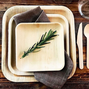 Vajilla compostable biodegradable respetuosa con el medio ambiente, vajilla Areca, producto de calidad superior - Product Image 3