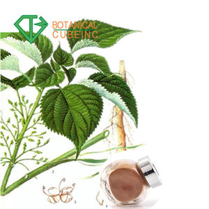 B.C.I menyediakan ekstrak pulpen kualitas tinggi ekstrak daun jelatang organik - Product Image 5