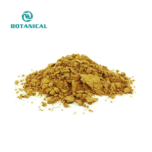 Chất lượng hàng đầu <span class=keywords><strong>Ginkgo</strong></span> <span class=keywords><strong>Biloba</strong></span> lá chiết xuất bột 24% flavonoid 6% saponin <span class=keywords><strong>Ginkgo</strong></span> <span class=keywords><strong>Biloba</strong></span> chiết xuất - Product Image 3