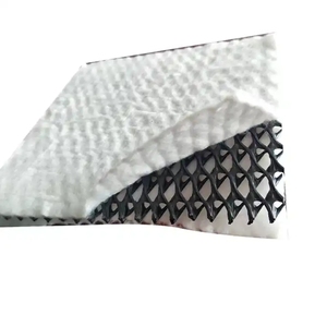 Réseau de drainage composite tridimensionnel avec noyau en filet HDPE de 4 à 8 mm et géotextile de 150 g, 200 g, 300 g, design moderne pour utilisation en jardin - Product Image 2