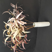Bande d'impression d'écran extérieur, prix du fabricant, plante artificielle de saule de danse de phénix
