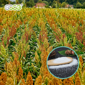 Agente de Retención de Agua Resistente a la Sequía para la Agricultura, Poliacrilato SAP en Polvo, Malla 10-100, Polímero Súper Absorbente - Product Image 5