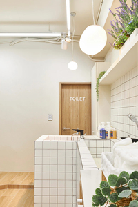 Mobiliario de Lujo para Tiendas de Peluquería Canina con Servicio de Diseño de Interiores, Diseño de Muebles de Salón Personalizados desde la Producción Hasta la Instalación - Product Image 4