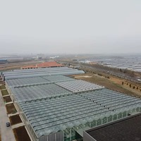 Commerciële grootschalige Venlo glazen kas voor hydroponische aardbeien- en sla-productie met verticale teelttechnologie