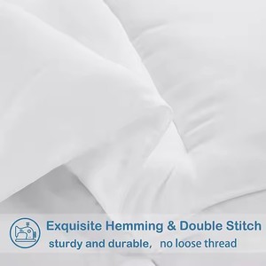 Sang Trọng Nữ Hoàng Kích Thước Ấm Áp <span class=keywords><strong>Comforter</strong></span> 100% Cotton Mềm Mại Chăn Duvet Bộ Đồ Giường Cho Nhà - Product Image 2