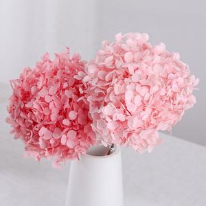 Venta al por mayor precio barato real natural conservado Flor de hortensia tamaño pequeño Anna conservado Hortensia para arreglo floral - Product Image 3