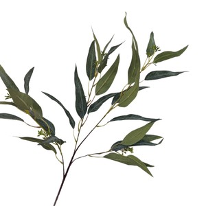 Vente en gros de feuillage artificiel d'eucalyptus hollandais à 4 branches en soie esthétique pour vitrine - Product Image 5