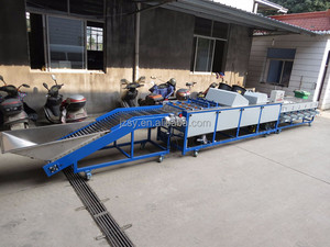 Macchina automatica ad alte prestazioni per il lavaggio e la classificazione dei pomodori ciliegia piccoli e medi/<span class=keywords><strong>ciliegie</strong></span>/cipolle al limone - Product Image 5