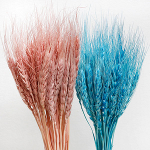 G105 <span class=keywords><strong>Bouquet</strong></span> de grains de blé naturel <span class=keywords><strong>Bouquet</strong></span> d'herbe sèche Arrangements de bricolage <span class=keywords><strong>Bouquet</strong></span> de tiges de gerbes de blé séché - Product Image 3