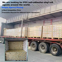 Nuevo Rollo de Vinilo de PVC de 1 Año de Duración, Autoadhesivo, Superficie Brillante, Resistente al Agua y a los Rayos UV, Material Permanente para Pósteres en Vidrio