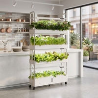 Système d'irrigation vertical aéroponique TSP 210, lampes de culture LED, pompe à eau automatique, petit système de culture à 4 niveaux pour herbes fraîches et légumes à feuilles vertes