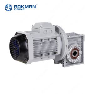 Reductor de velocidad de caja de cambios helicoidal de reducción de la serie RV de Transmisión Industrial - Product Image 5