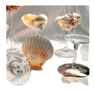 Copas de Concha Marinha, Copas de Vino de Concha Natural, Copas de Concha para Picnics, Fiestas, Cumpleaños, Regalos de Boda - Product Image 1