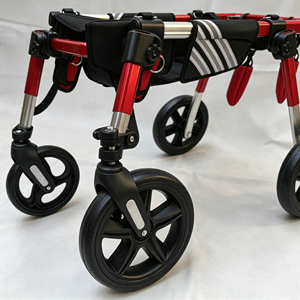 Fauteuil roulant à quatre roues <span class=keywords><strong>pour</strong></span> animaux de compagnie, robuste et durable, <span class=keywords><strong>pour</strong></span> chiens, aide à la mobilité des membres avant - Product Image 4