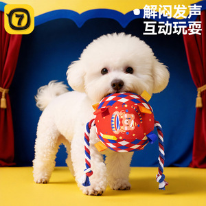 Squeaky Dog Toy Ball Plush Interactive <b>Bite</b> Resistant Pet Companion Toy Cartoon Pattern Polyester Material - Product Image 2