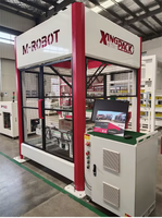 Robot Delta Automatique pour l'Emballage de Sacs, Bouteilles, Cartons, Barils, Boîtes - Haute Vitesse 2000 Cartons/Heure - Alimentation, Tabac, Métal/Plastique