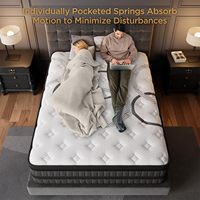 Échantillon gratuit Matelas de luxe Queen Matelas king Size 10 pouces Matelas en mousse à mémoire de forme en latex avec boîte