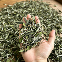 Thé Blanc Fuding Shoumei 2024 Printemps, en Galette Traditionnelle Pressée sur Pierre, Qualité Vieillie d'Origine, Antioxydant, Flavonoïde