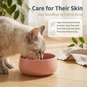 Ciotola per Animali Domestici in Ceramica Giapponese Opaca 1100ml, Anti-Acne, Senza Piombo, Base Larga Anti-Ribaltamento, Facile da Pulire per Cani e Gatti, Personalizzabile OEM - Product Image 4