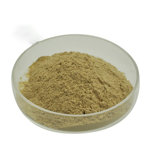 Extracto de Mejillón de Labios Verdes Perna Canaliculus GAG, Suplemento de Material Crudo de Mariscos Liofilizados - Product Image 3