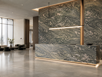Dalles de quartzite naturel émeraude des Alpes polies, découpées sur mesure, pour carrelage de sol, plans de travail d'îlots de cuisine, comptoirs de bar et dessus de tables consoles