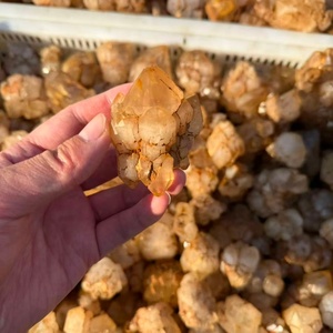 Cristallo di Quarzo Naturale del Madagascar, Raro Cluster di Quarzo Fenster per Arredamento e Meditazione, <span class=keywords><strong>Guarigione</strong></span> Reiki - Product Image 5