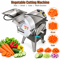 Machine à découper les courges amères et les patates douces, trancheuse électrique de légumes, hachoir de cuisine, machine à couper les chips de plantain